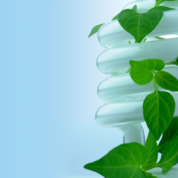 asesor energético
